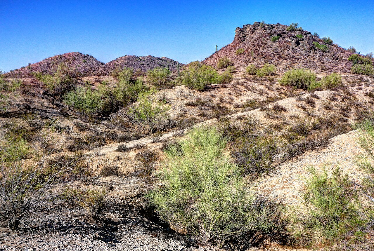 Desert trail in South Mountain Park, Phoenix — outdoor running for HYROX Phoenix training